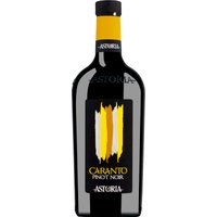 Astoria Caranto Pinot Noir 2019 – Rotwein, Italien, trocken, 0,75l